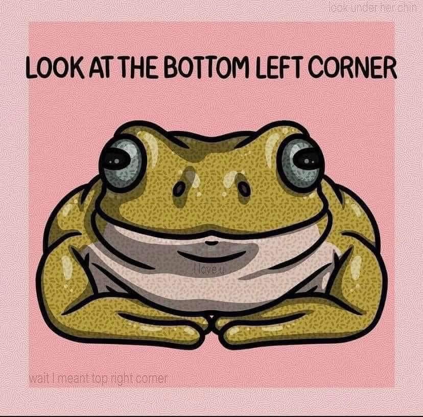 This meme is an image of a frog with a concerned expression. The text "Look at the bottom left corner" is written above the frog, implying that something is about to happen or be revealed in that area. The frog's expression suggests it's expecting something to be revealed or is trying to draw attention to the bottom left corner.
